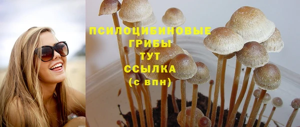 MDMA Premium VHQ Армянск