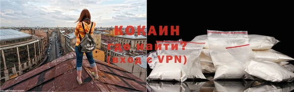 стафф Осинники