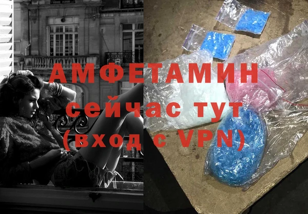 стафф Осинники